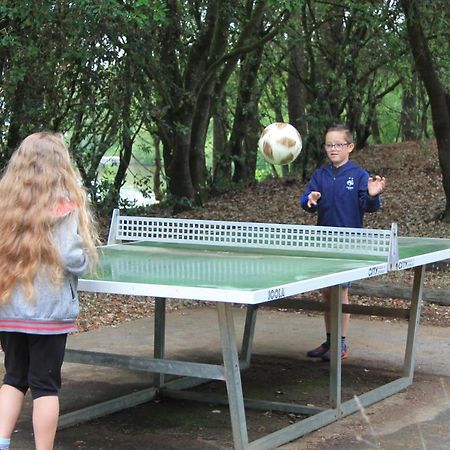 דירות Talmont-Saint-Hilaire Studio Cabine Vendee Ideal En Famille Res L'Oree Du Lac מראה חיצוני תמונה